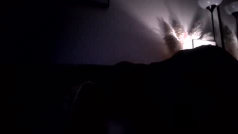 Aloysius online show from 07-14-26, 08:19
