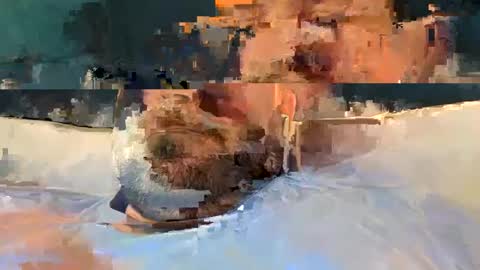 alpachino7777 online show from 02-19-25, 05:27