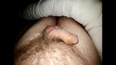 Snapshot of altirando3 chatting on 12-23-24, 11:49 gordy2263 online show from 12-23-24, 11:49