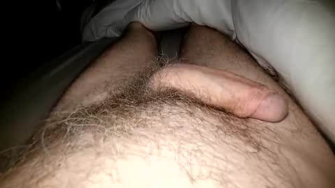 Snapshot of altirando3 chatting on 03-03-25, 02:04 gordy2263 online show from 03-03-25, 02:04