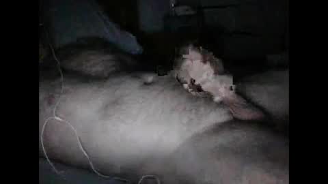 Snapshot of alucard5757 chatting on 02-01-25, 02:34 alucard5757 online show from 02-01-25, 02:34