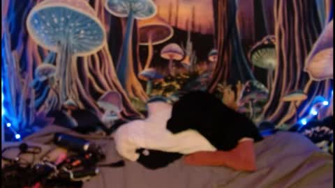 alyssaarcane online show from 05-28-26, 09:34