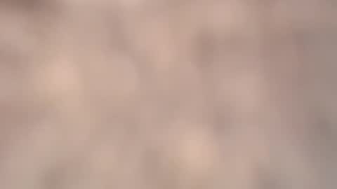 valentia online show from 03-06-26, 02:24