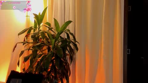 Amatista online show from 10-11-25, 11:25