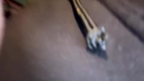 Jamesy online show from 01-17-25, 03:11