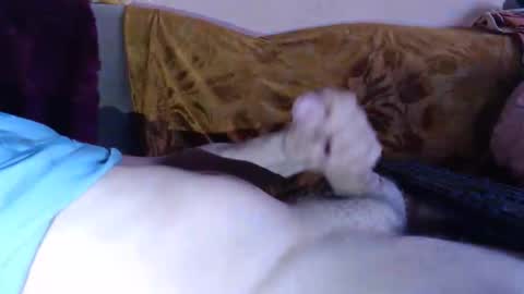 amazingcuteboy845 online show from 04-15-26, 08:20