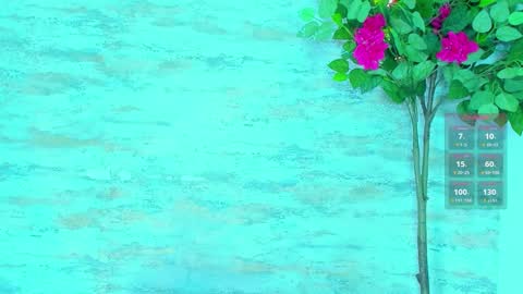  AMELIA.  online show from 03-14-26, 02:17