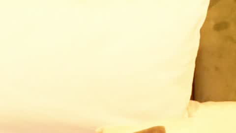 Amelia online show from 01-09-25, 06:06