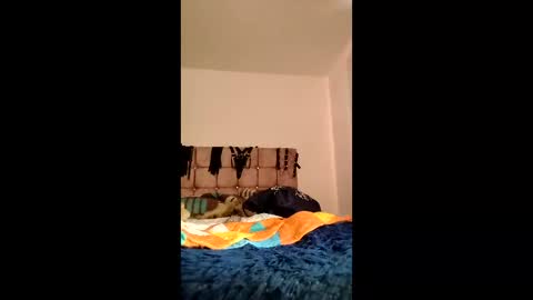 Snapshot of amelie__martinez chatting on 06-03-26, 02:33 amelie__martinez online show from 06-03-26, 02:33