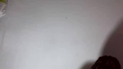 Snapshot of amelisy20005 chatting on 02-22-26, 06:46 amelisy20005 online show from 02-22-26, 06:46