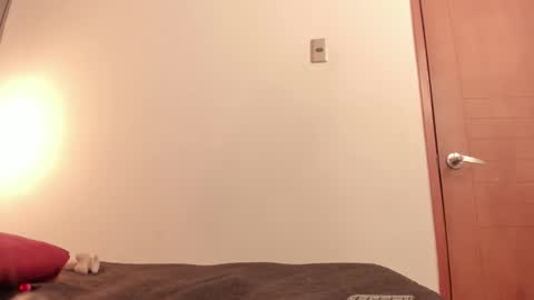 Snapshot of ammytorrez_ chatting on 09-11-25, 11:32 ammytorrez_ online show from 09-11-25, 11:32