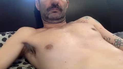 Snapshot of amued_mushroom chatting on 04-23-26, 09:50 Dan online show from 04-23-26, 09:50
