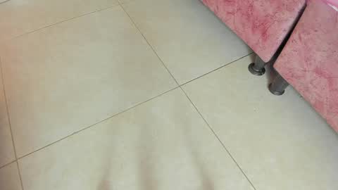 amy__rose__ online show from 05-19-26, 03:02