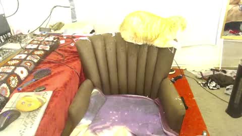 Trashely Gimpson online show from 04-14-26, 08:09