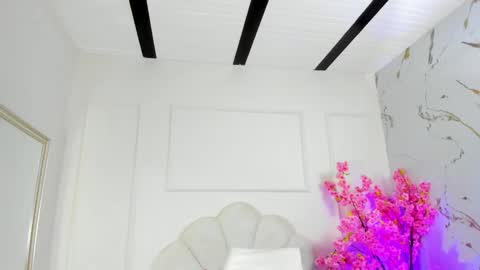 Amykord online show from 10-15-25, 11:32