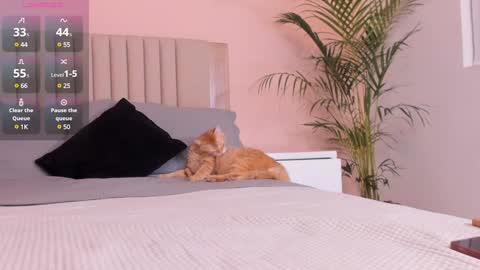 Ana Henao or Annie... Follow me ahenaocb Insta  X online show from 02-01-25, 12:40