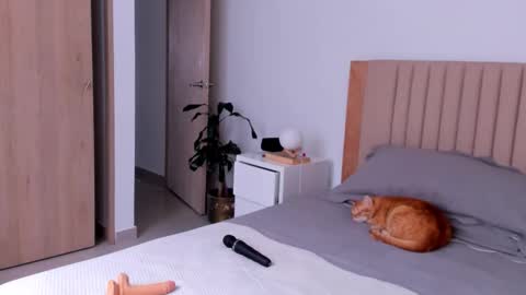 Ana Henao or Annie... Follow me ahenaocb Insta  X online show from 09-26-25, 08:57