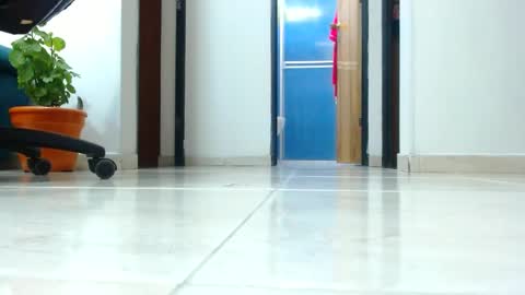 anaids online show from 01-01-25, 04:18