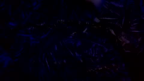 anal_stoner69 online show from 12-04-24, 02:31