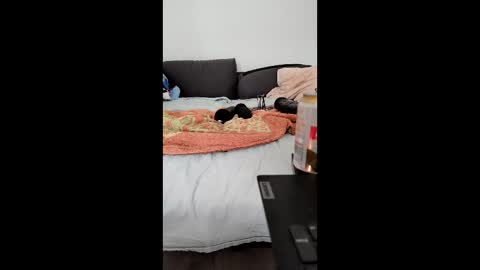 Snapshot of analtraining12 chatting on 03-26-26, 10:21 analtraining12 online show from 03-26-26, 10:21