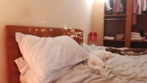 Andra online show from 12-24-24, 06:00