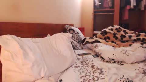 Andra online show from 01-27-25, 08:29