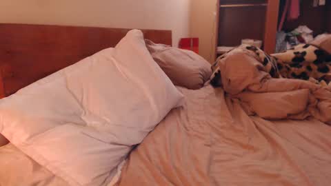 Andra online show from 02-06-25, 03:27