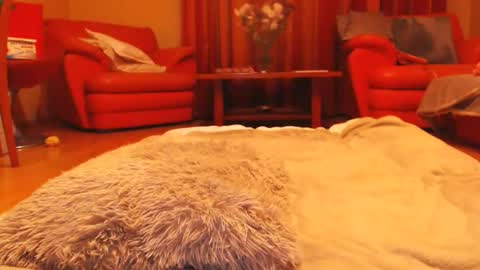 Andra online show from 03-16-26, 05:17