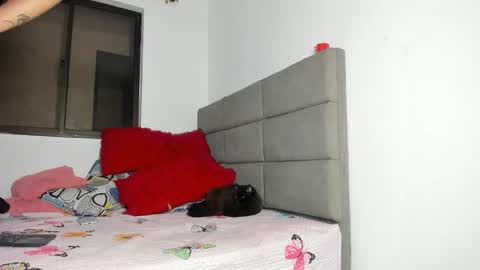 Snapshot of andreaflamel chatting on 05-01-26, 11:37 ANDREA online show from 05-01-26, 11:37