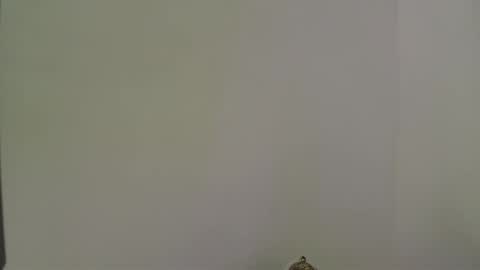 andres_stud online show from 10-13-25, 04:34