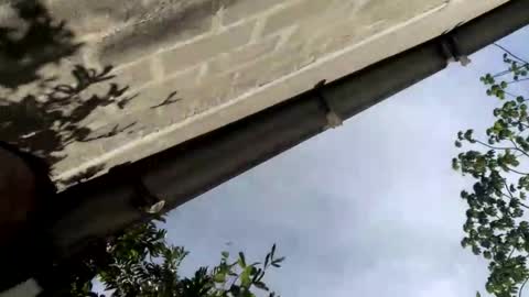 andrew online show from 09-14-25, 08:30