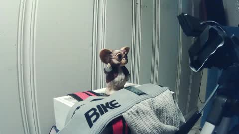 Snapshot of andy_552 chatting on 09-18-25, 01:46 andy_552 online show from 09-18-25, 01:46