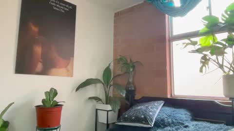 Andy online show from 02-24-26, 01:09