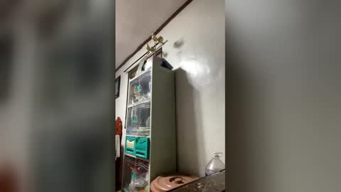 Snapshot of ange011 chatting on 03-23-26, 06:06 ange011 online show from 03-23-26, 06:06