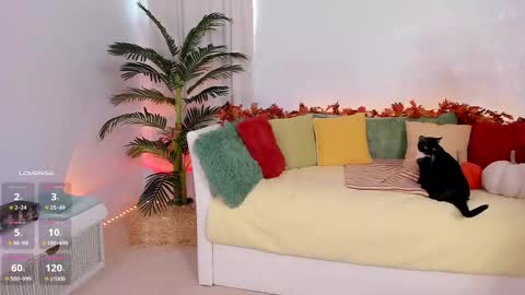 Claire - be back soon online show from 11-14-25, 07:56