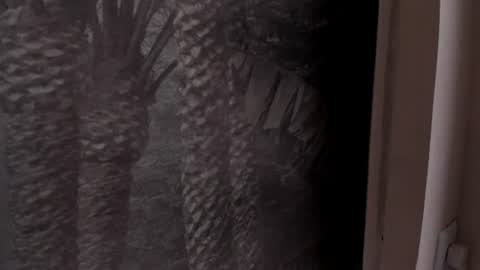 Angelie Rose  online show from 06-27-26, 12:33