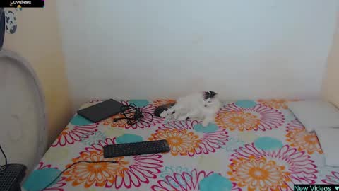 Snapshot of angielee01 chatting on 01-20-25, 01:11 Angie y Andres online show from 01-20-25, 01:11
