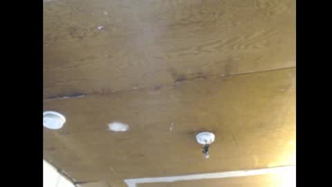 Ani online show from 02-25-25, 02:11