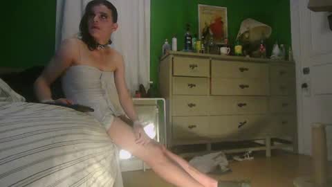 Snapshot of anilyseardor chatting on 05-22-26, 09:59 Ani online show from 05-22-26, 09:59
