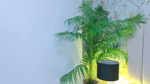 Dania Lpez online show from 03-19-26, 12:42