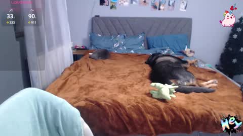 Anadirectgirl online show from 01-08-25, 06:41