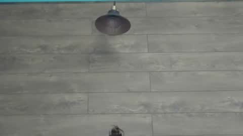 annasplash online show from 03-12-25, 05:46