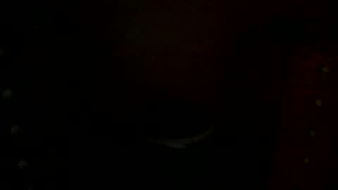 annecharlie online show from 11-30-25, 07:56