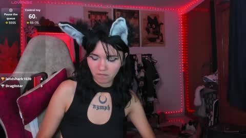 Snapshot of anneharpeer chatting on 04-07-26, 05:41 anneharpeer online show from 04-07-26, 05:41