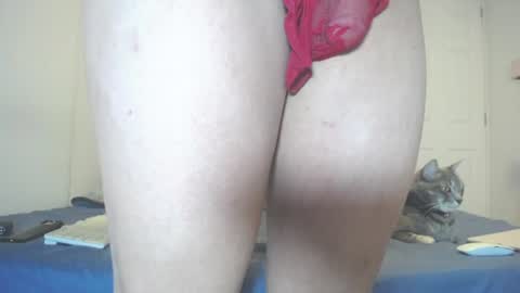 INDEPENDENT MODEL next srteam 240624 online show from 07-11-26, 06:43