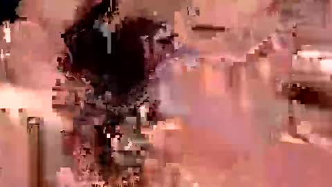 anonboytoy1 online show from 01-21-25, 09:46