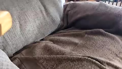 Snapshot of anonisme_54 chatting on 11-20-25, 04:18 jay online show from 11-20-25, 04:18