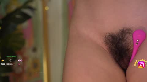 Nell. online show from 12-16-24, 09:35