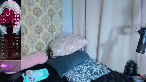 Camila  online show from 12-29-24, 01:24