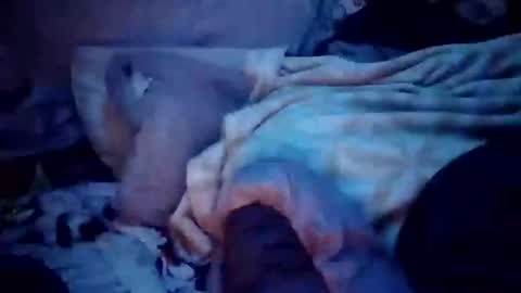 Snapshot of apocolypseanomaly chatting on 12-16-24, 12:49 apocolypseanomaly online show from 12-16-24, 12:49